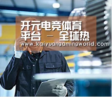 研发能力标题四